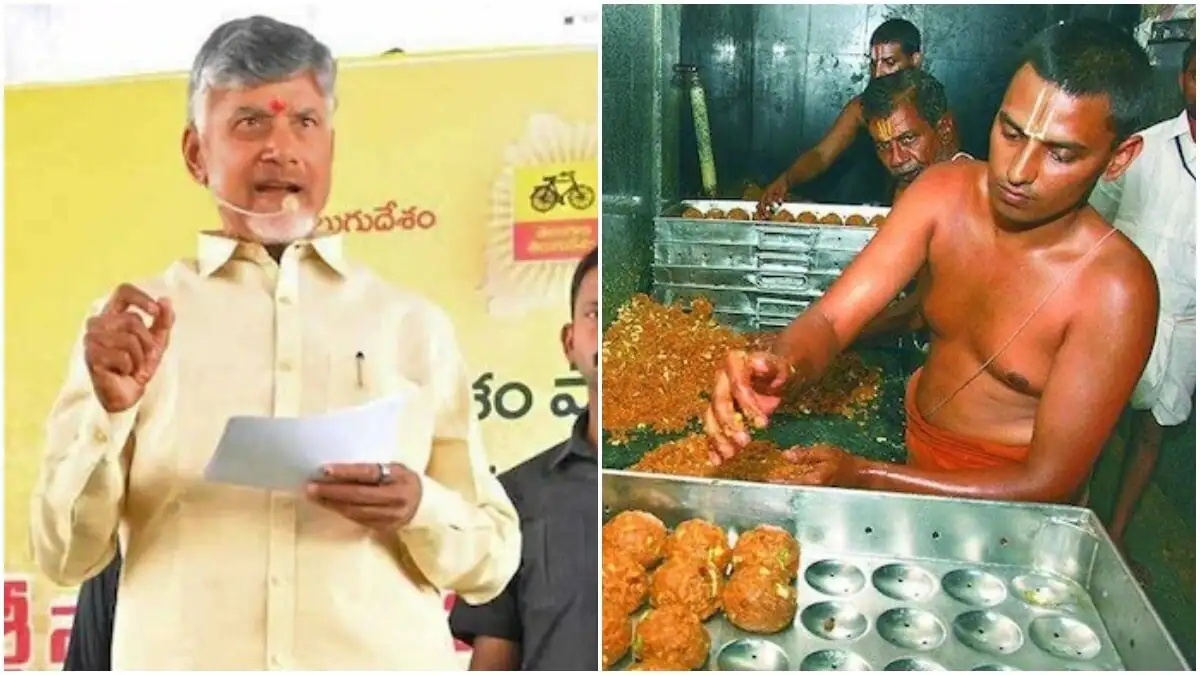 Tirupati Laddu Controversy